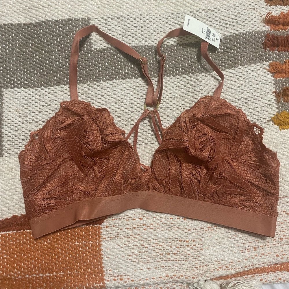 Aerie paradise embroidery lace triangle bralette.